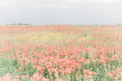 annakayphotography-wildflowerbridals1