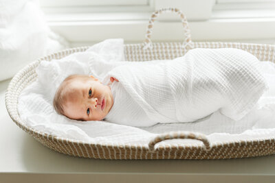 Swaddled baby in moses basket for Minneapolis newborn photos