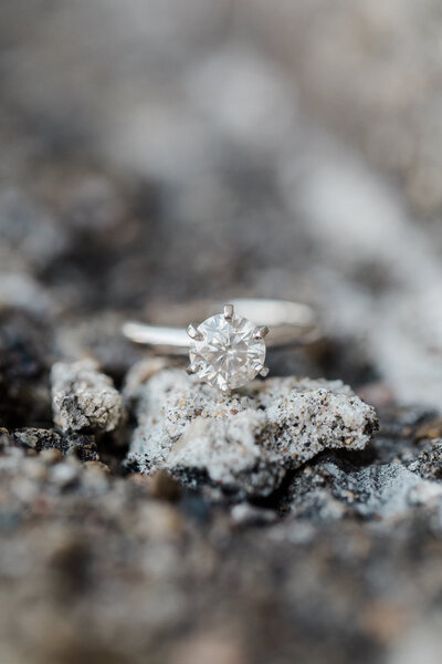 becca_shyler_engaged-1472