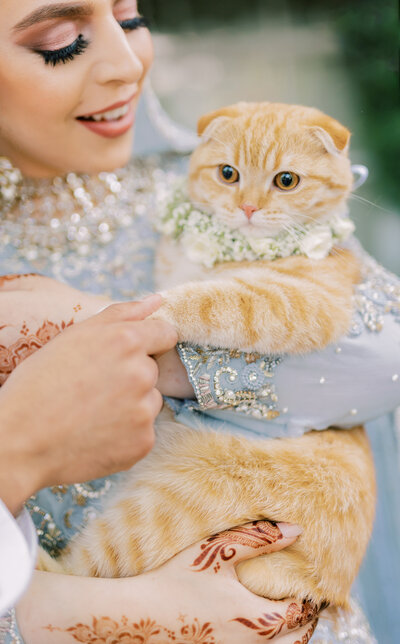 IZ(286of1772)