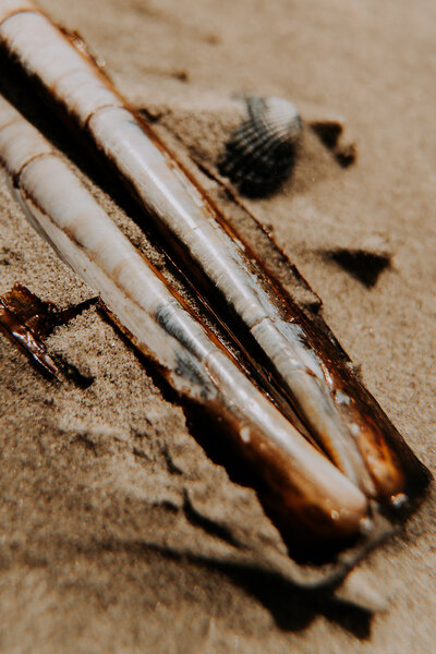 Prints Dijk Ocean Store_93_websize