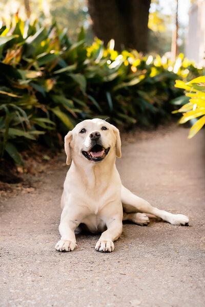 New Orleans Family Photographer 8