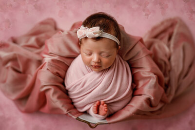 Newborn Photographer Portraits