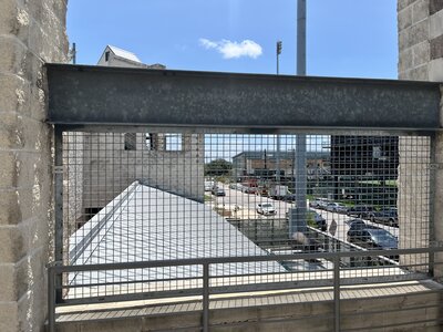 IMG_5246