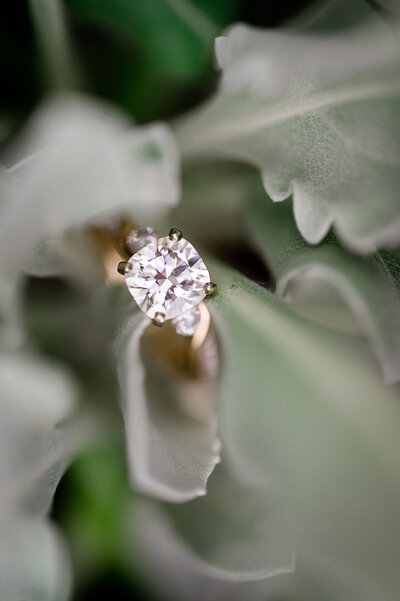 engagement ring shining in wedding photo