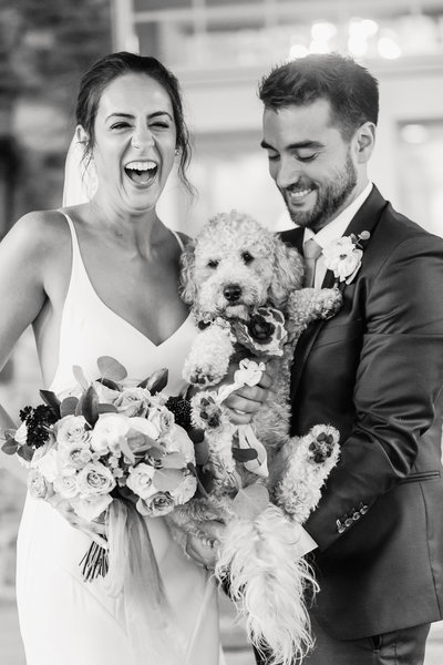 Pawfect for You Pet Care during wedding New York Massachusetts Connecticut New Jersey Pennsylvania18