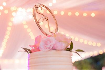 Great Fall Virginia Backyard Wedding in the Spring in DC