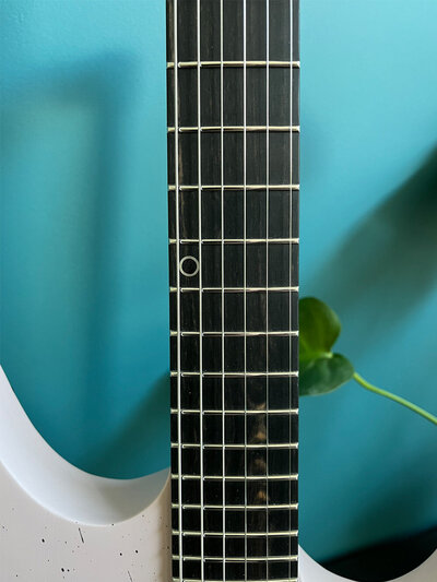 DCO23001 paris pink fretboard detail