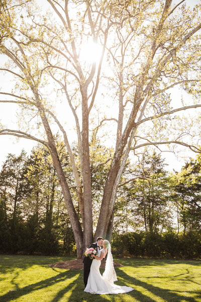 groom dipping his Knoxville bride and leaning into a kiss in a green grassy field with a large tree
