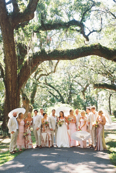 A bride and groom laughs with their bridal party under spanish moss trees while holding white umbrellas