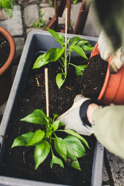 markus-spiske-ImFFgR9pdEM-unsplash
