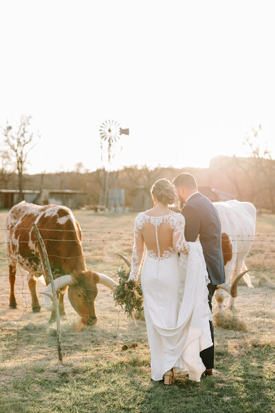 Photo of Bride and Groom at their wedding with cattle