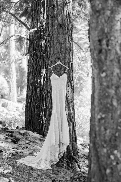 A wedding dress hanging in a Tahoe tree
