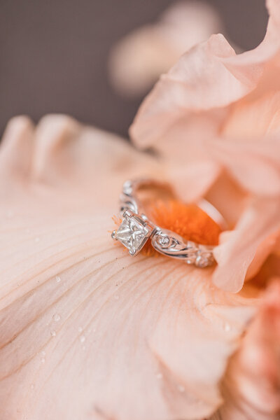 carrie_freddie_engaged-6974