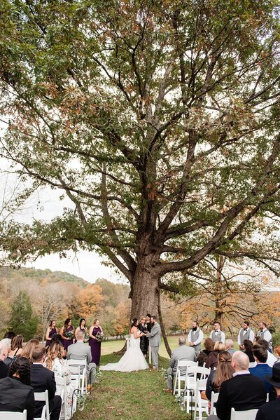 Bride and groom holding hands and saying vows under historic tree at the Pick Inn