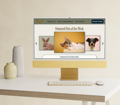 Earth colors boho tablet mockup wood shapes (4000 x 3500 px) (3)