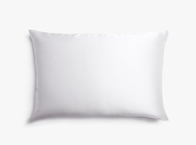 silk-pillowcase_white_lightbox_2221_1440x