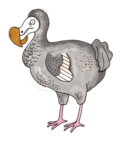 An illustration of the extinct Dodo bird