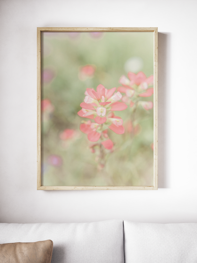 Wildflower Framed