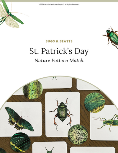 St. Patrick’s Day Nature Pattern Match — cover
