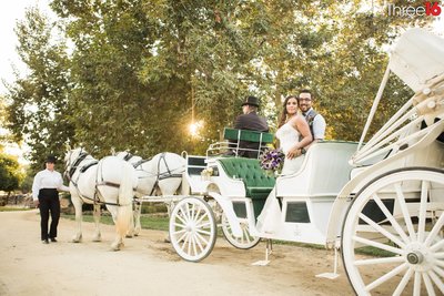 Bride and Groom stand up in a horse drawn carriage as they look back at the wedding photographer