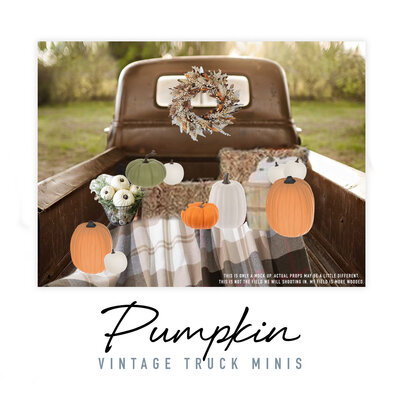 This vintage truck, adorned with Fall pumpkins, sets the stage for a charming photo session. The rustic charm and vibrant colors of the setup create a whimsical and Fall atmosphere. This is perfect for capturing timeless memories with Bri Sullivan Photography.