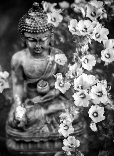 Inscrivez-vous à la Newsletter de Daya Deepa Yoga pour recevoir les actualites de mes cours de yoga à Nice | Ateliers | Voyages Yoga