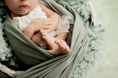 9161-Central Minnesota Newborn Photographer -  Nicole Hollenkamp - Princeton MN, St Cloud MN-Edit