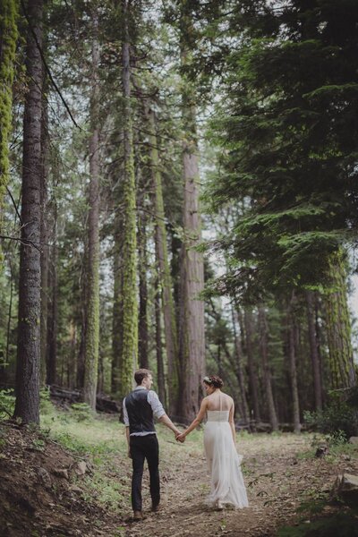 Bride and groom walking hand-in-hand through a serene forest, captured by Todd and Madi of TM Photo Co, a wedding and lifestyle photography team with a natural aesthetic.