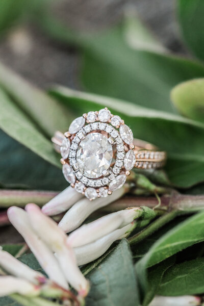 emily_jake_engaged-4020