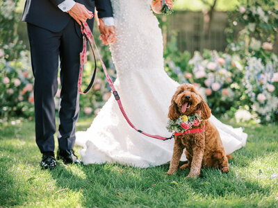 ABP-brideandgroom-45