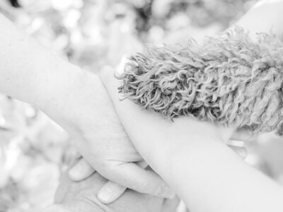 JHP, LLC team members’ hands by dog paws in front of flowers. 