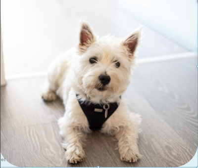 Capture d’écran 2025-10-20 à 20.48.19