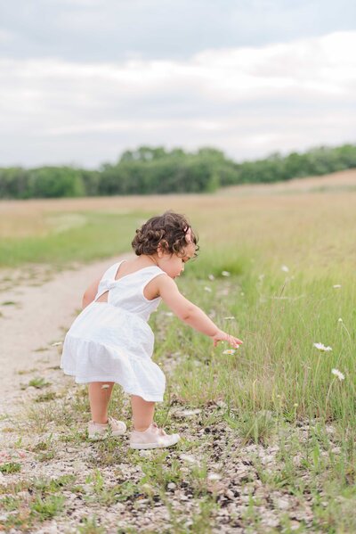 Toddler girl picking a white flower in a meadow