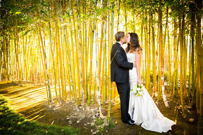 Incredible bamboo wedding photo at Japanese Friendship Garden in Balboa Park, San Diego.