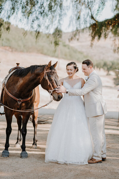 photo of bride and groom petting a horse taken by Hotel elopement photographer Palm Springs