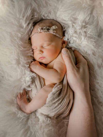 bay harbor petoskey family photographer