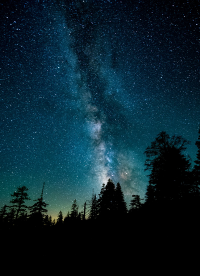 Stars