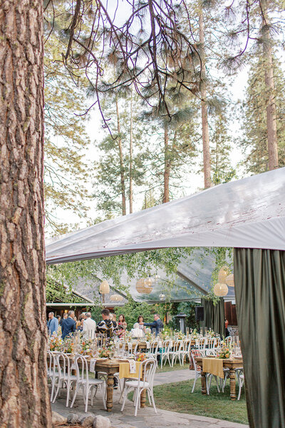 Yuri Cole Wedding-1334