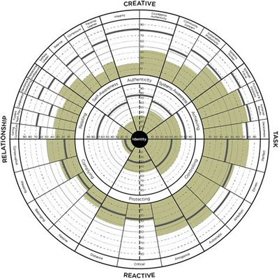 Leadership Circle  - Executive & Leadership Coaching with Linda jazzar online - 360 assessment tool