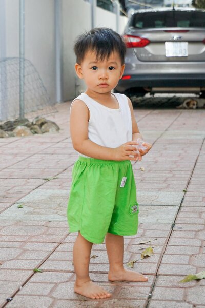 pexels-duy112-2341542