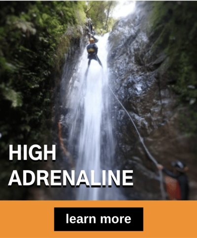 High Adrenaline