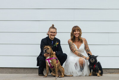 Alternative Bride and Groom with their Dogs on Wedding Day