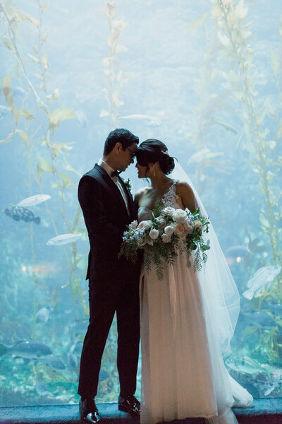 La Jolla Wedding Venues Birch Aquarium at Scripps