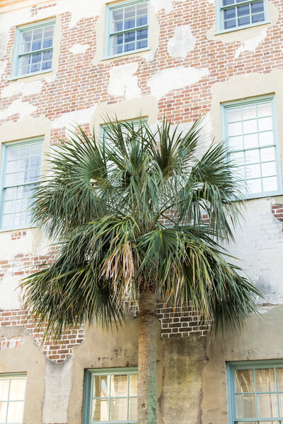 CharlestonEngagementSession-KendraMartinPhotography013