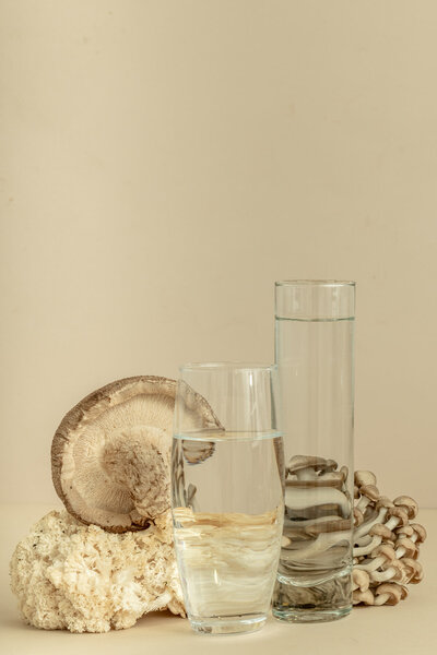 www.rachelsmak.com_editorial_functional_and_psilocybin_mushroom_photographer_new_york-5