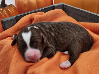 6400191d-e671-42b8-8d49-d62bc0946784