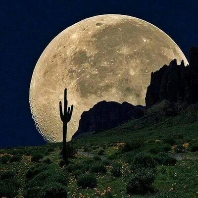 Moon over desert