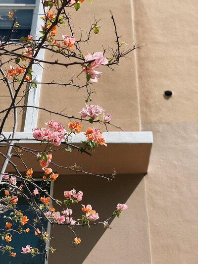 931955C2-4370-4A4A-A671-CD052014126B