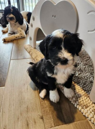 5ebfec0e-2460-4af1-8693-7091420c3b2b